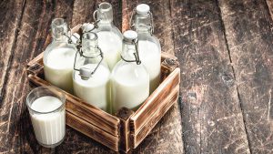 Milch zum Mozzarella selber machen